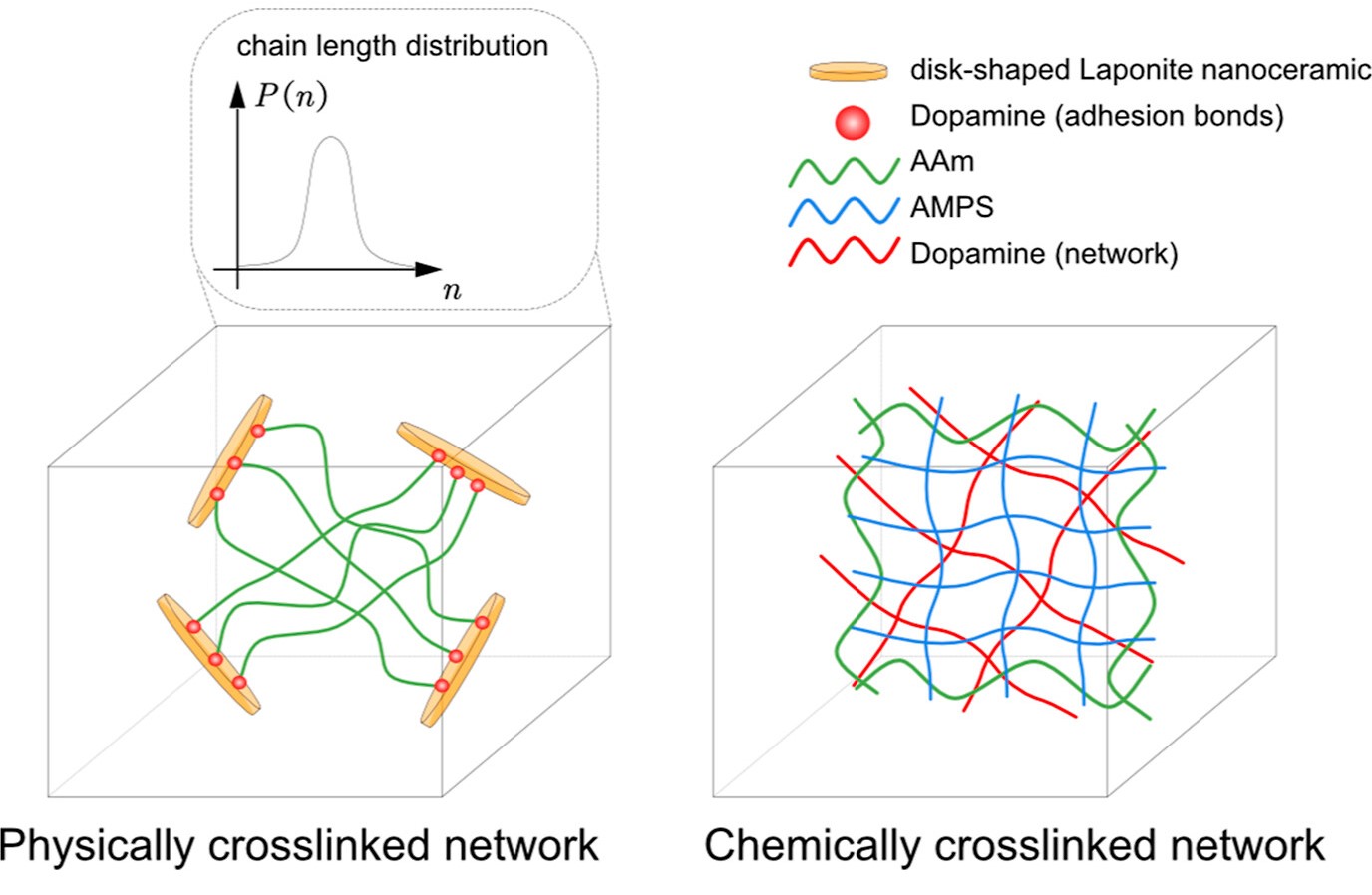 3dpnetwork